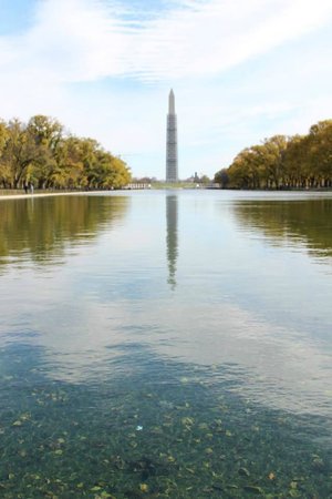 lincoln-memorial-and.jpg
