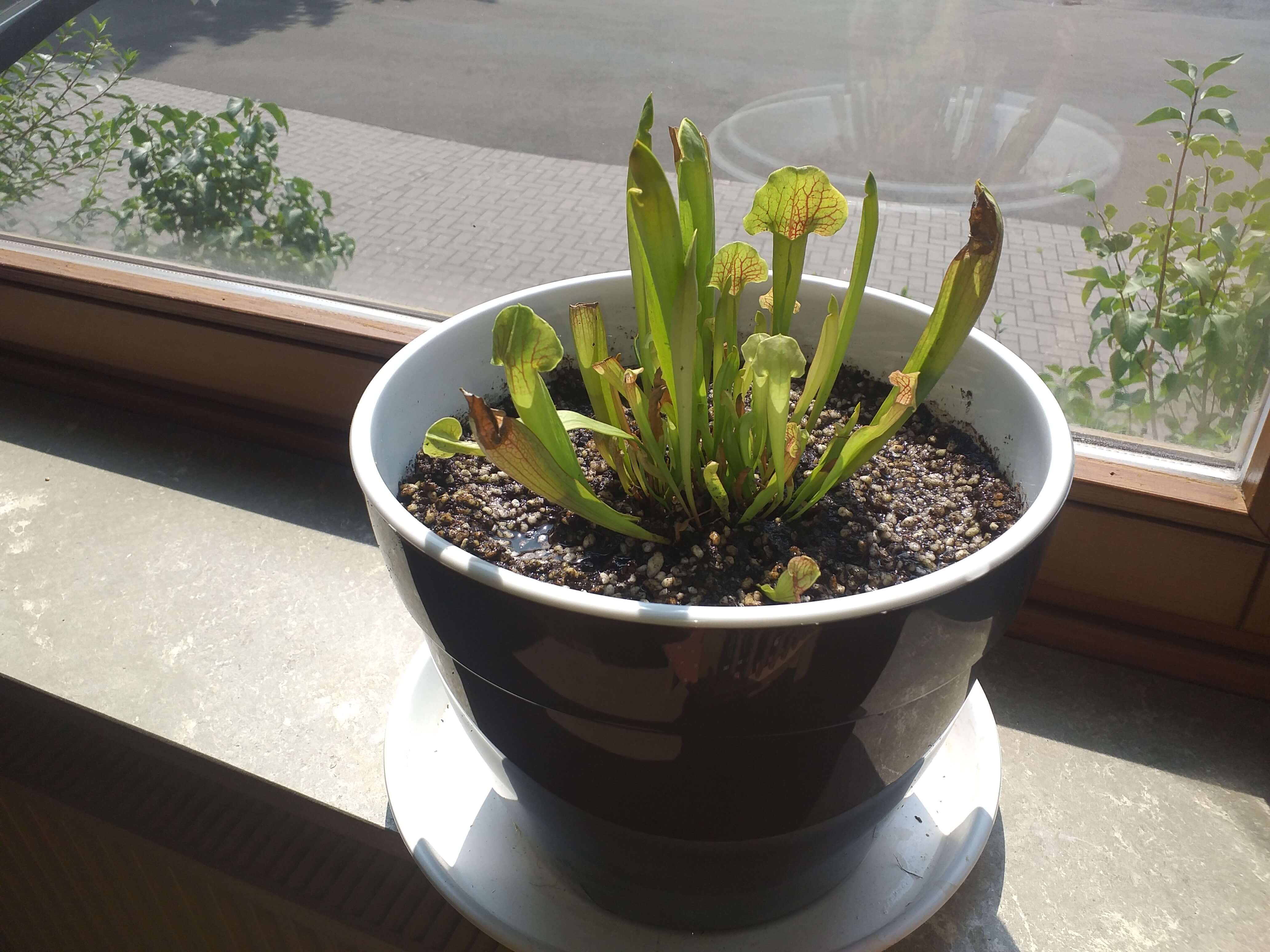 20250806-124336-cleaned.jpg