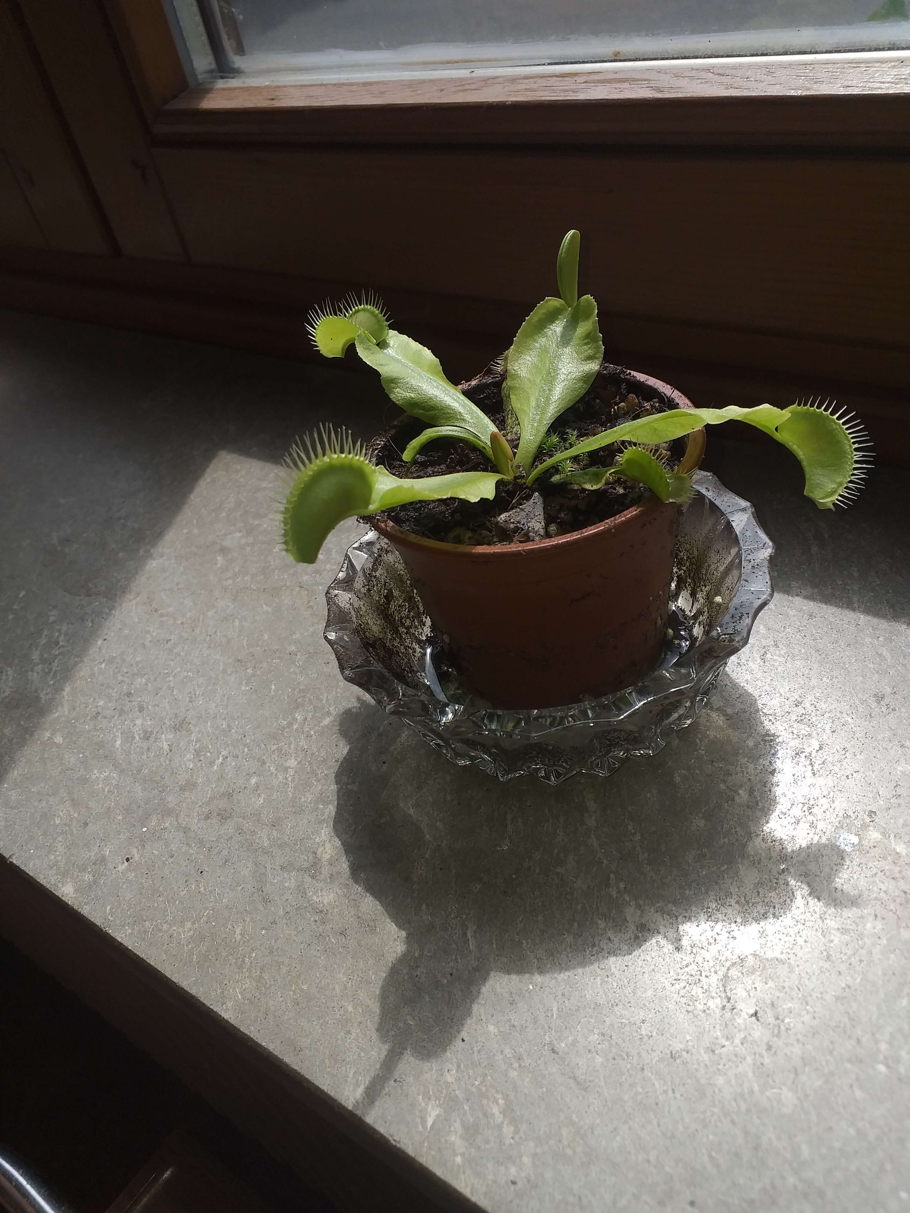 20250808-124426-cleaned.jpg
