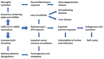 www.sciencedirect.com