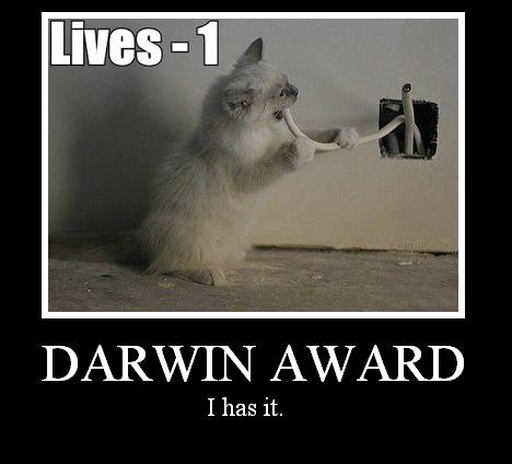 darwin-award.jpg