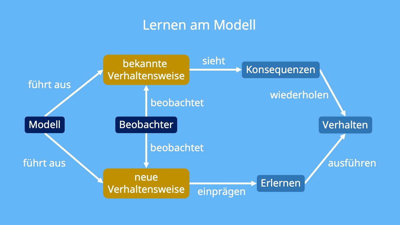 Lernen-am-Modell_WP.jpg
