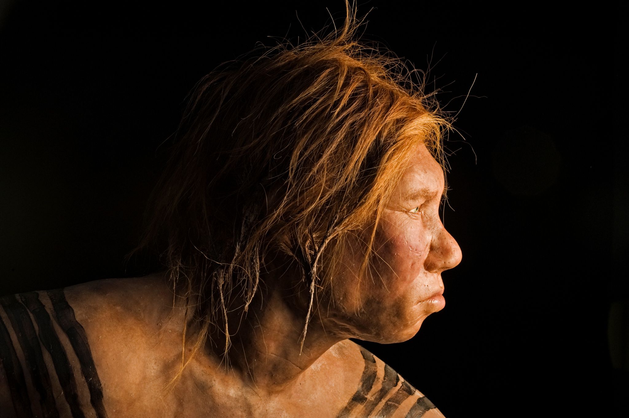 www.nationalgeographic.de