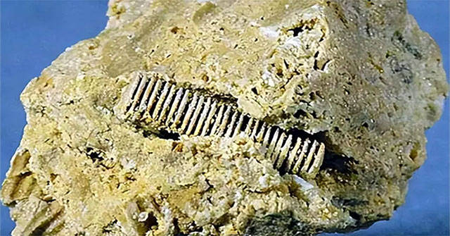 scienceinfo.net