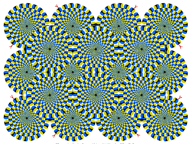 optische-illusion-rotate-snake-kitaoka.png